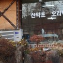 심마니약초백숙 이미지