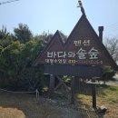 솔숲산 | 태안 가성비 단체펜션 &#39;바다와솔숲&#39; 오션뷰 수영장 솔숲A 숙박후기