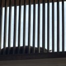 냥카페 묘연 이미지