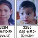 포아 이미지