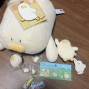 안경나라 서청주점 | 청주 커넥트팝업 오늘의귀여움 치즈덕 위주 후기