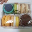 청춘마카롱 이미지