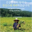 새남
