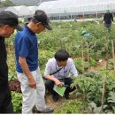 다둥이농장 이미지