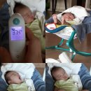 둘셋약국 이미지