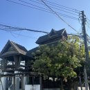 CAFE THE DOG | 첫 해외여행, 태국 치앙마이.ᐟ.ᐟ(코지카페cozy cafe, 니들앤클레이, 캄빌리지, 와로롯시장, 라탄거리...