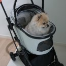 도그도그펫 | 왓도그캣 무료 펫 선물 강아지 유모차 당첨 후기