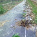 청운농장 이미지