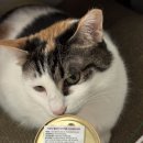 주식회사글로벌펫 이미지