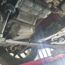 정카센타 이미지