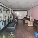 월드애견미용실 이미지