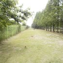 우드볼장 이미지