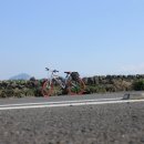 대정읍-4 이미지