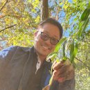 칡캐는오미자농부 이미지