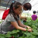 추부만인산농협 이미지