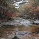 정선다온펜션 이미지