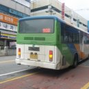 삼일원앙A 이미지