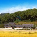 맛사랑푸드 이미지