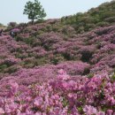 알파인 산우회 제14차 정기산행(황매산) 이미지