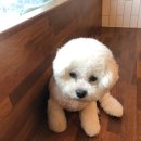 미니멍 살롱 이미지