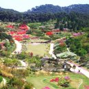 안면도자연휴양림 이미지