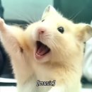 조각 모음