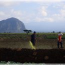 농부의 아침 이미지