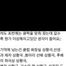 야스