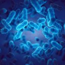 염창환병원 이미지