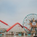 화이트21 이미지