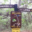 장학리노루목길(봄내길 8코스) | 봄내길 8코스 - 장학리노루목길