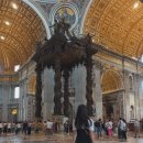 금란솔로몬 이미지