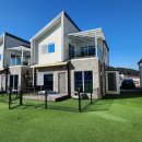 바비 애견샵 이미지