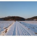 진리의 비상 이미지