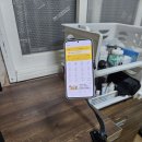 오렌즈 경성대점 | [SKT경성대점]내돈내산! 갤럭시 z폴드5 5일 실사용 후기