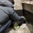 대한설비