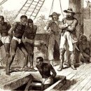 The Slave Ship: A Human History 이미지