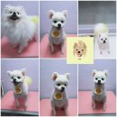 웃개살롱 이미지