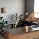 답다니언덕집 이미지