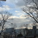 선재식품 | [아트선재센터] 아드리안 비야르 로하스: 적군의 언어 개인전 후기