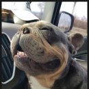 GS25청주수곡점 이미지