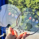 오동도 | 여수여행 여수해상케이블카 돌산공원 탑승후기! 이용요금, 주차장, 오동도 용굴 탐방 후기