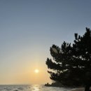 서강화농협삼산지점 이미지