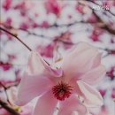 더채움(사랑의 요양원 3호점) | 추천 서초구 요양원 사랑의집 사랑의집, 따뜻한 돌봄