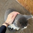 노루목 | 광교산 등산 후기2 (광교산 등산안내소-노루목-시루봉-형제봉-토끼재 하산)
