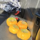 김동희농장 이미지