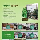 네파문정 이미지