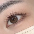경양로 | 광주속눈썹 디자인연장 산수동 모도아티스트리 대만족 솔직후기 추천