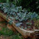 온새미로펜션 이미지