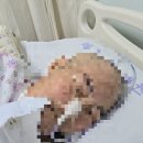 메디홀스요양병원 이미지